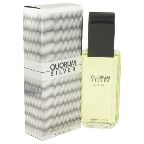 Quorum Silver by Puig Eau de Toilette Spray 100 ml