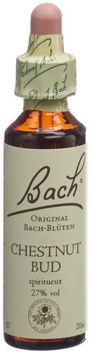 BACH-BL&Uuml;TEN Original Chestnut Bud No07 20 ml