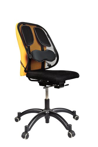 Fellowes Office Suites™ - Netz Rückenstütze (Schwarz)
