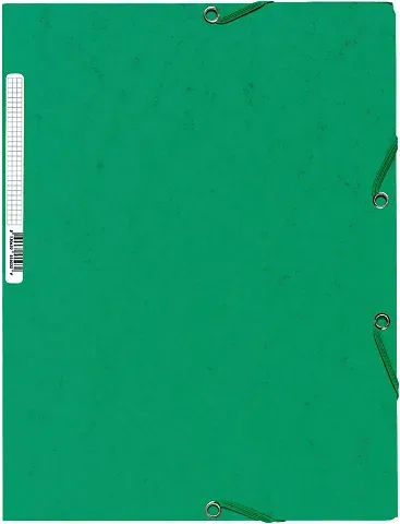 EXACOMPTA Gummibandmappe A4 55503E gr&uuml;n