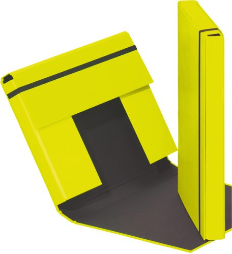PAGNA Sammelbox Trend A4 21308-17 Gummizugverschluss gr&uuml;n