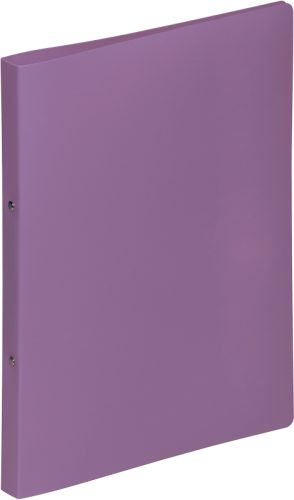 PAGNA Ringbuch 23mm A4 20901-12 lila PP 2-Ring-Mech.