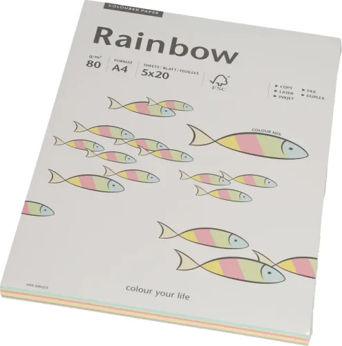 PAPYRUS Rainbow Mixpack 88043187 pastell, 80g 100 Blatt