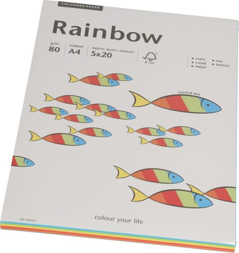 PAPYRUS Rainbow Mixpack 88043188 intensiv, 80g 100 Blatt