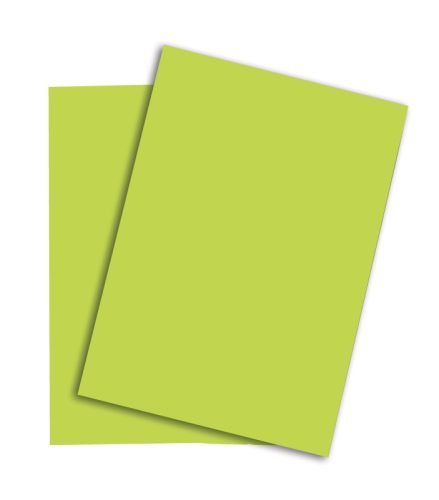 PAPYRUS Rainbow Papier FSC A4 88043138 leuchtend gr&uuml;n, 160g 250 Blatt