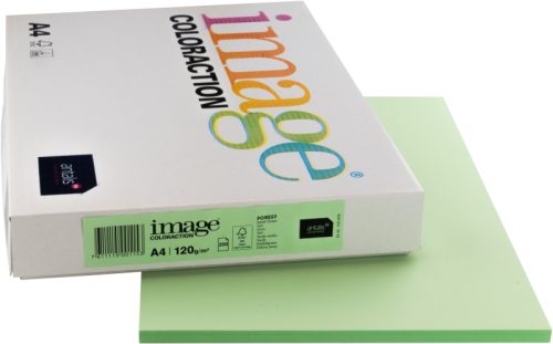 ANTALIS Universal Papier A4 266689 120g, forest 250 Blatt