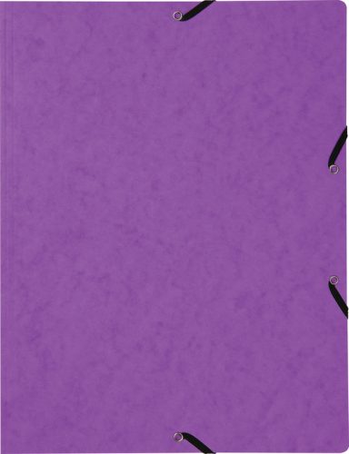BIELLA Gummibandmappe A4 178401.42 violett, 355gm2 200 Bl.