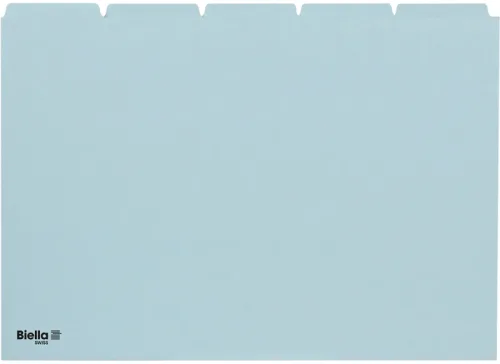 BIELLA Kartei-Leitkarten blanko A5 210555.05 blau, 25-teilig