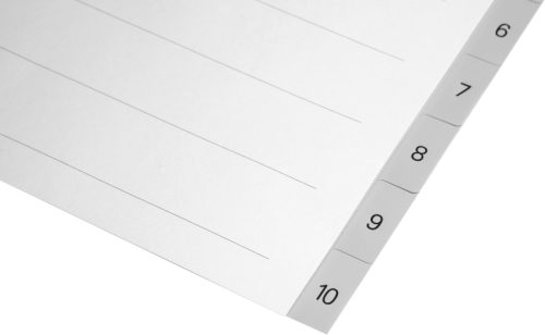 BIELLA Register PP grau A4 471410.00 1-10, Vollformat