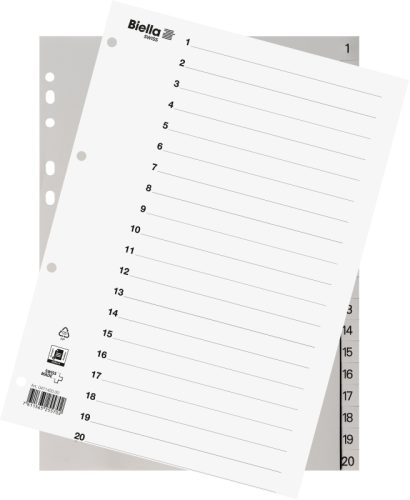 BIELLA Register PP grau A4 47142000 20-teilig blanko