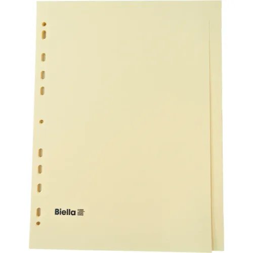 BIELLA Register Karton braun A4 19542400 24-teilig