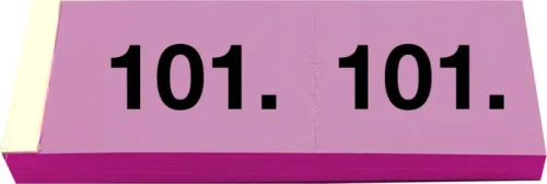 SIMPLEX Garderobenblock 101-200 13083 pink 100 Blatt