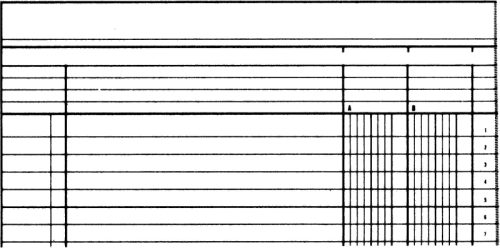 SIMPLEX Statistikbuch A4 19082 2 Kolonnen, gr&uuml;n 40 Blatt