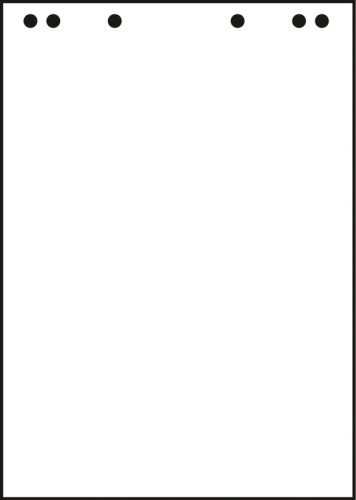 LANDRE Flipchartbl&ouml;cke blanko 20 Bl 10050588 80g, recycl, 68x99 cm 5 Stk.