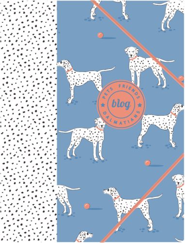 ANCOR Gummibandmappe A4 105438 PET FRIENDS blau