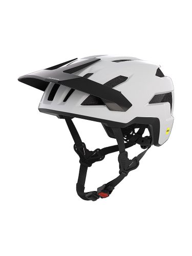 Alpina, Alpina Taunus Mips Fahrradhelm