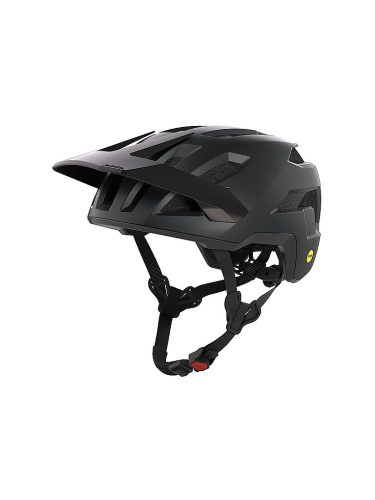 Alpina, Alpina Taunus Mips Fahrradhelm