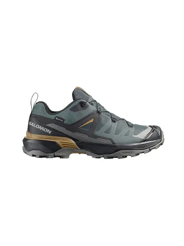 SALOMON Herren Multifunktionsschuhe X ULTRA 360 GTX grau | 43 1/3