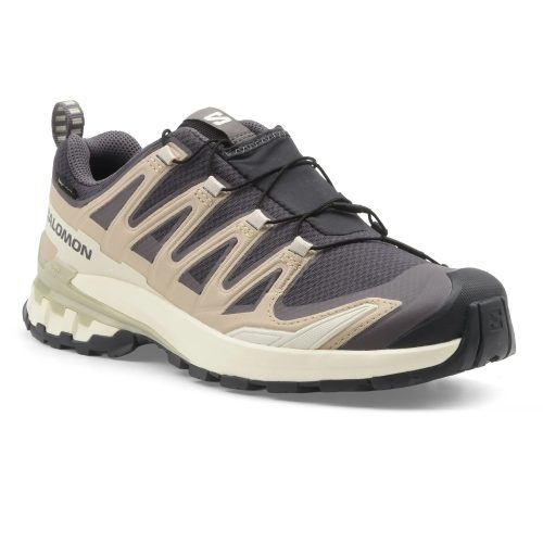 Salomon, Salomon Damen Xa Pro 3D V9 GTX Schuhe