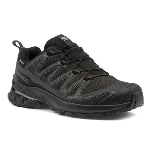 Salomon, Salomon Damen Xa Pro 3D V9 GTX Schuhe