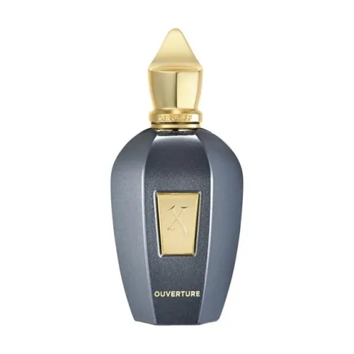 XERJOFF Ouverture Eau de Parfum 100ml Herren