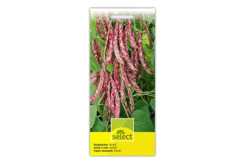 Select Stangenbohne Borlotti