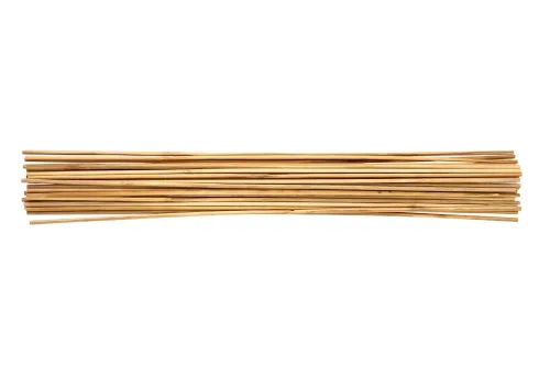 Coop, Qualité & Prix Pflanzenstab Bambus | 60 cm | 15 Stück