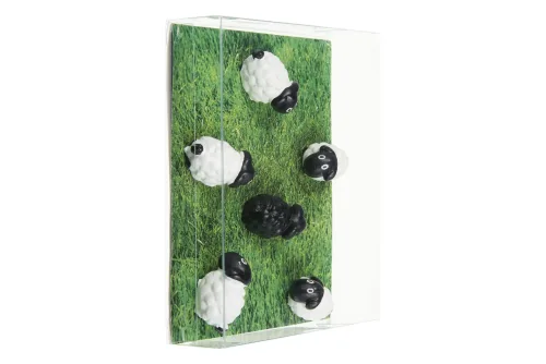 trendform, TRENDFORM Magnete SHEEP FA3737 6er Set assortiert