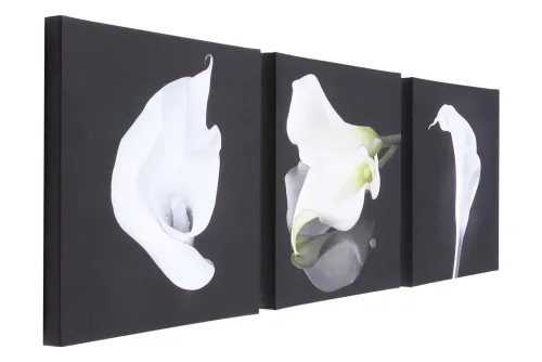 undefined, Canvas Set 3x 30x30 Calla Lilies