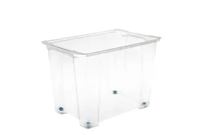 Rotho Box Evo Easy mit Rädern | 65 l