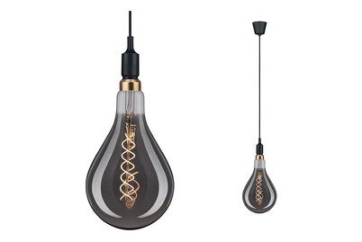 Paulmann, Paulmann Ketil 50381 Pendelleuchte LED E27 Schwarz