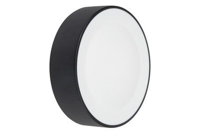 Philips Hue, Philips Hue LED-Außenwandleuchte 1746530P7 Daylo LED fest eingebaut 15 W RGB, Warmweiß, Kaltweiß, Tageslichtweiß