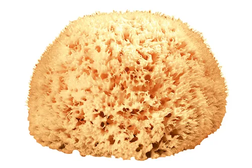 Diaqua, Diaqua - Naturschwamm, One Size, Gelb