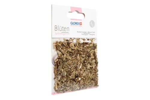 GLOREX, GLOREX Spitzwegerich 4g 61601106 gr&uuml;n