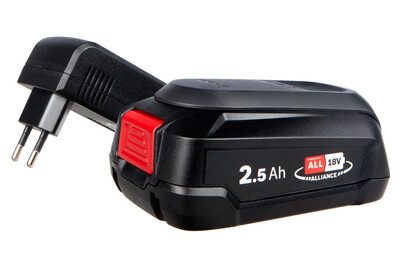 Bosch Home and Garden, Bosch Home and Garden 1600A02625 Werkzeug-Akku und Ladegerät 18 V 2.5 Ah Li-Ion