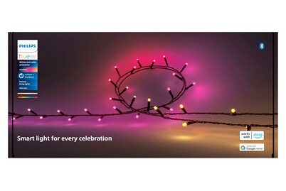Philips Hue, Philips Hue LED-Lichterkette "Hue Festavia, 40 m, 500 LEDs" 500 Stk.-flammig