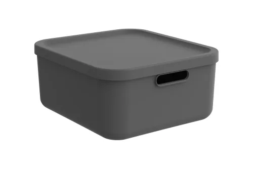 Rotho Box 12 l Albula Light