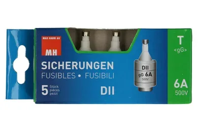 Max Hauri Sicherung 6A träge 500V Dt-Ii / 5 Stück
