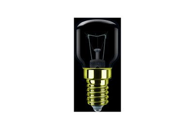 Philips Backofenlampe T29 OV 1CT/4x5F