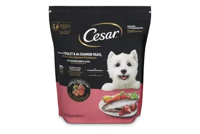 Cesar Trocken-Hundefutter Huhn & Lachs