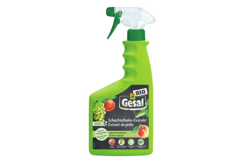Gesal Schachtelhalm-Extrakt | 750 ml