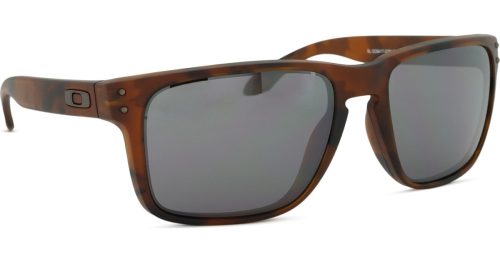 OAKLEY, OAKLEY Herren Sonnenbrille Holbrook? XL braun