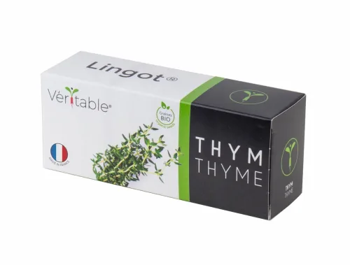 VÉRITABLE, VÉRITABLE Lingot Gemüsegarten Thyme Grün