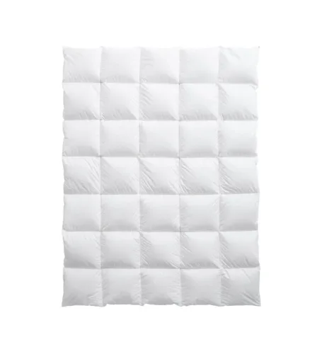 Billerbeck Edition Hayo Medium 160x210cm Daunenduvet
