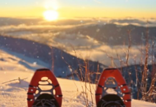 Schneeschuhe