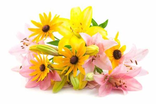 Blumen-Onlineshops Blumenversanddienste Test