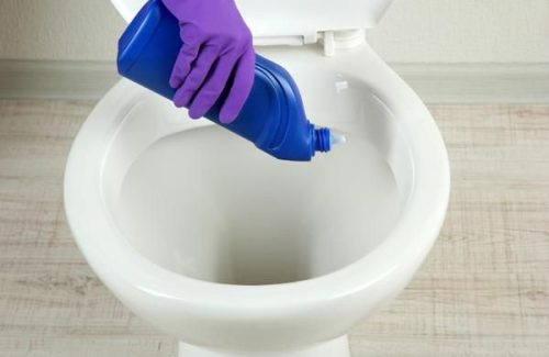 WC-Reiniger
