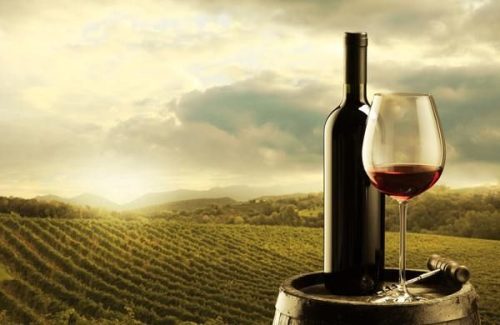 Portugiesische Rotweine Degustation