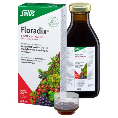 Floradix, Floradix Eisen + Vitamine (250ml)