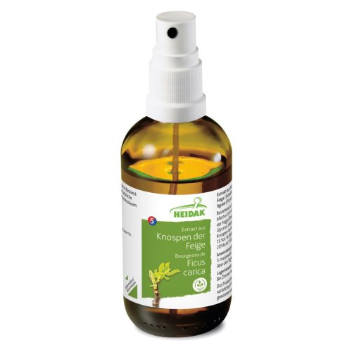 Heidak, HEIDAK Knospe Feige Ficus caria Glycerin Mazerat (30ml)